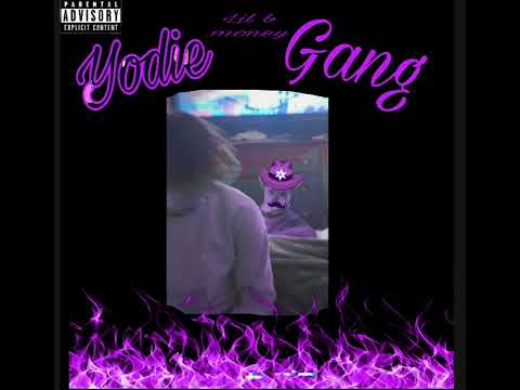 Lil B Money- “yodie Gang” Official Audio - YouTube