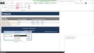 Report Builder for MS Access Tutorial