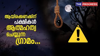 ആയിരക്കണക്കിന് പക്ഷികൾ ആത്മഹത്യ ചെയ്യുന്ന ഗ്രാമം Jatinga Village Birds Suicides