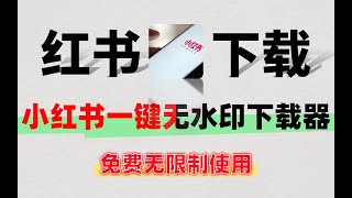 免费无限制使用最新小红书一键无水印下载器