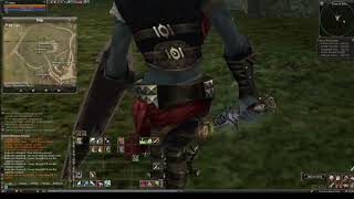 Test Of Duelist (Class Change) Lineage 2 Reborn x1 Origin