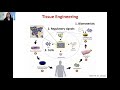 nerve guides as nerve tissue engineering biomaterials