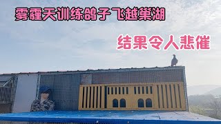 农村大叔真胆大，雾霾天训练鸽子飞越巢湖，结果令人悲催