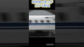 【8秒で分かる新幹線の速さ!!】東海道新幹線米原駅通過 #shorts