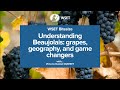 WSET Bitesize - Understanding Beaujolais: grapes, geography, and game changers