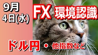 【TAKA FX】いよいよ動かなくなってきた？　ドル円他各通貨の環境認識解説。各種指数、GOLDなど　9月4日(水)