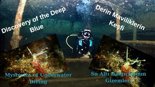 Mysteries of Underwater Diving