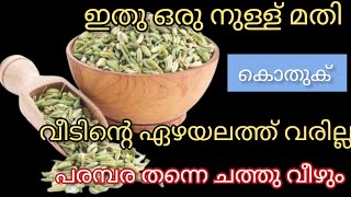 ഇനി കൊതുകിനെ പേടിക്കണ്ട ഇത് ഒരു നുള്ള് മതി|Usefultips