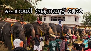 ചെറായി ആനയൂട്ട് 2022 / CHERAI AANAYOOTU 2022 / KERALA ELEPHANT FEEDING.