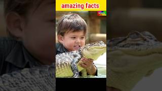 मगरमच्छ का जन्मदिन 🤯 | facts | amazing facts | interesting facts #facts #shorts #factupng #yt