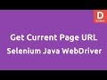 Get Current Page URL using Selenium Java