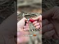 DIY Shotgun Shell Firestarting Kit! 🔥🧨SD News is on RUMBLE link in description