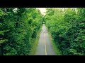 Alone man walking on beautiful road covered with trees - Copyright Free Video