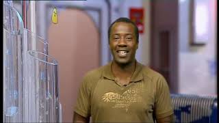CBeebies Continuity - Friday 13th June 2008