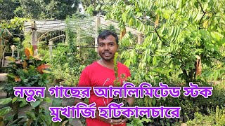 নতুন গাছের আনলিমিটেড স্টক মুখার্জি হটিকালচার ফার্মে / nursery visit near Kolkata /