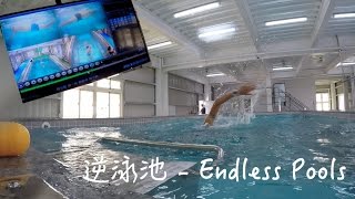 Keng Sports 訓練科技 I 逆泳池 - Endless Pools