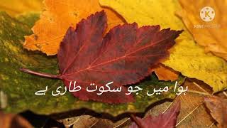 Khizaan by Sheeba Kasher./urdu poetry/ best urdu poetry/poetry about autumn season/sad poetry.