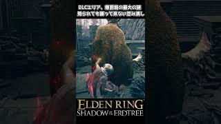 【エルデンリング DLC】謎の忌み潰しに遭遇するしろがね人 #eldenring  #エルデンリング