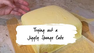 UNWRAPPING A JIGGLY SPONGE CAKE | easy cake baking | Danerie bakes