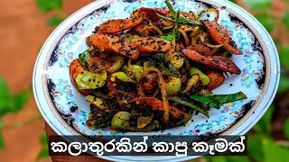 ගොඩක් කාලෙකින් හදපු රස කෑමක්😋🍛🤗#trending