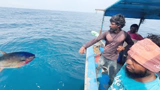 சபிகி பிஸ்ஸிங் தொடர்ச்சியாக பிடித்த சூரை மீன்கள் | SABIKI FISHING | Back to Back Tuna Fish Catching