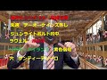 阪神ジュベナイル　最終見解❗️ラヴェル、リバティーアイランド黄色信号‼️ 万馬券 3連単 追い切り 阪神ジュベナイルフィリーズ サンティーテソーロ ブトンドール モリアーナ