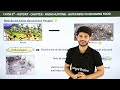 from hunting gathering to growing food full chapter explanation class 6 history chapter 2