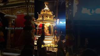 🙏 தங்க ரதம் திருச்செந்தூர் முருகன் கோயில் 🦚#murugansongs WhatsApp status #shorts #trending #murugan