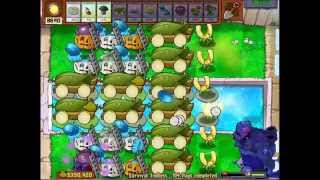 Plants vs Zombies Survival Endless Setup (ladders, no repair)