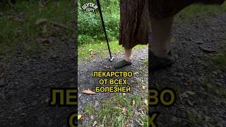 Найдено лекарство от всех болезней! #комедия #ржач #юмор #прикол #смешныевидео #бабули