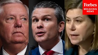 'Senator Lindsey Graham Was A JAG Officer': Elissa Slotkin Dings Pete Hegseth Over 'JAG Off' Comment