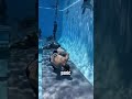 Underwater Training is Intense