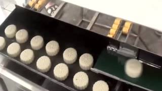 Maamoul Mooncake Production Demonstration - Longyu Technology