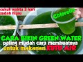 BIKIN GREEN WATER / CHLORELLA LEBIH CEPAT || 3 HARI SUDAH HIJAU