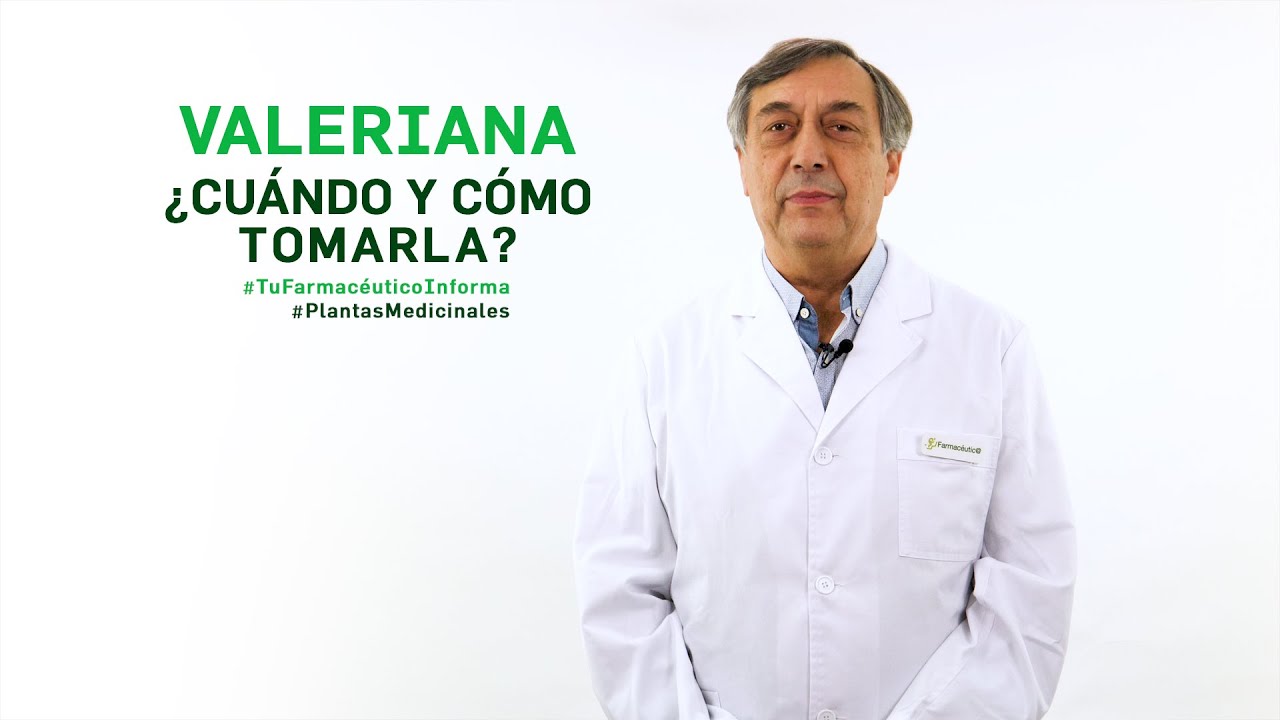 Valeriana, Cuándo Y Cómo Debemos Tomarla. Tu Farmacéutico Informa - # ...