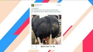 Revue de tweets : le Sommet de l'élevage de Cournon-d'Auvergne