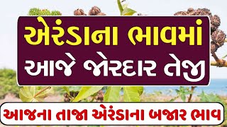 Arenda na bhav| 26/01/2025 | આજના બજાર ભાવ | એરંડા નો ભાવ | commodity Trend #Arendanabhav