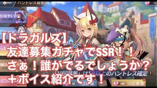 【ドラガルズ】友達募集ガチャでSSR！！さぁ！誰がでるでしょうか？＋ボイス紹介です！