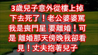 3歲兒子意外從樓上掉下去死了！老公婆婆罵我是喪門星 要離婚！可是 離婚那天傍晚我卻看見！丈夫抱著兒子