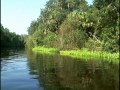 chnep network of an estuary 1 of 2