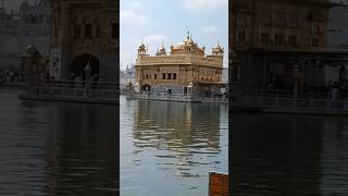 Golden Temple Amritsar 🌟🌟 #goldentemple #shorts #viral #video #amritsar #youtubeshorts #viralvideo