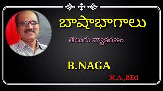 భాషాభాగాలు,నామవాచకం,  సర్వనామం, క్రియా, విశేషణం అవ్యయం. #Telugu Grammar By B. Nagaraj