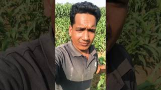 চিকিৎসার অভাবে যখন মানুষ মারা যায়