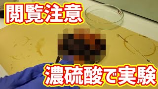 【硫酸の危険性】〇〇を硫酸に浸したらやばすぎた…