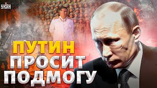 РФ ПОСЫПАЛАСЬ! Путин просит КНДР прислать подмогу. Скоро и они ОГРЕБУТ в Украине - Шейтельман