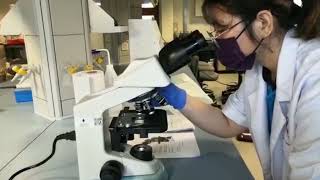 Practical 1A: Microscopy:Observing Microorganisms