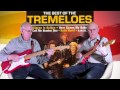 Silence is golden - The Tremeloes - Instro cover by Dave Monk