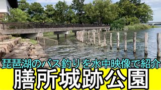 膳所城跡公園のバス釣りスポットを水中カメラで探索！必見映像満載