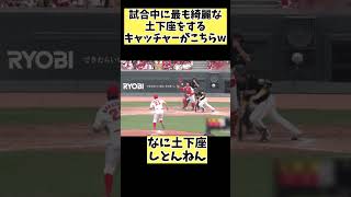 試合中にめちゃくちゃ謝罪！？するキャッチャーこちらw#プロ野球 #野球 #なんj #shorts #short