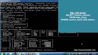 Structured Query Language Tutorial SQL Part 16 LIKE Operator Command Prompt Console